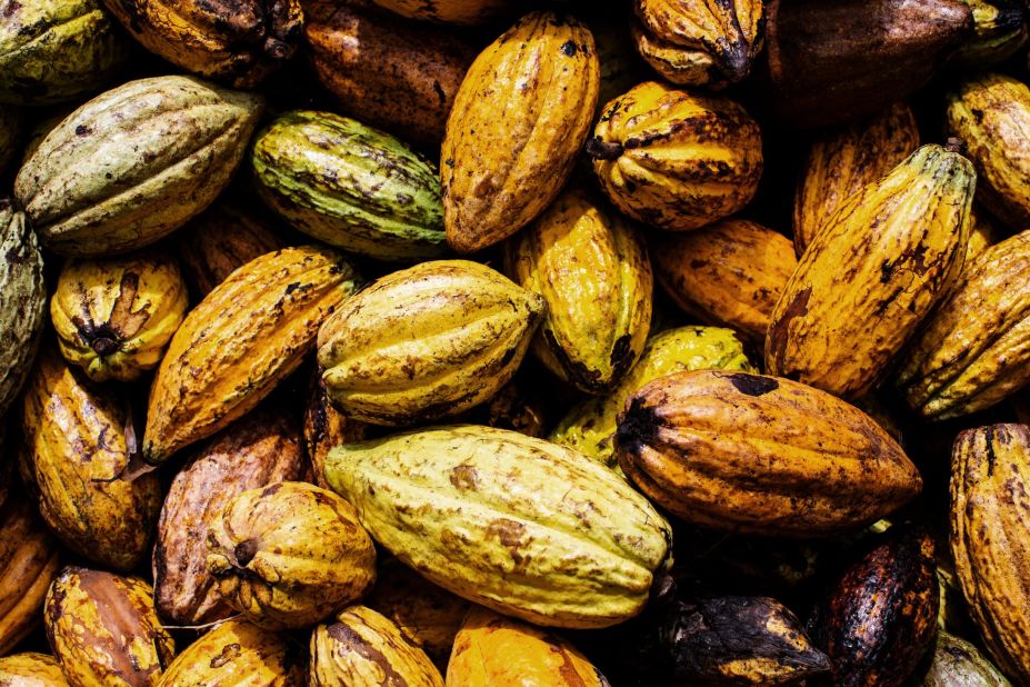 A Glimpse Into Surinames Cocoa Industry