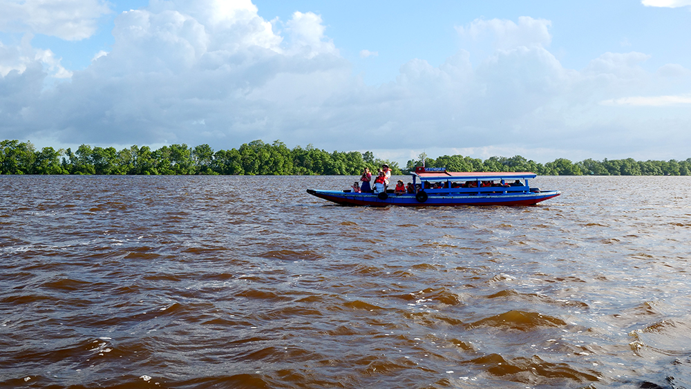 A Self-Drive Tour Of Suriname: Essential Tips And Routes