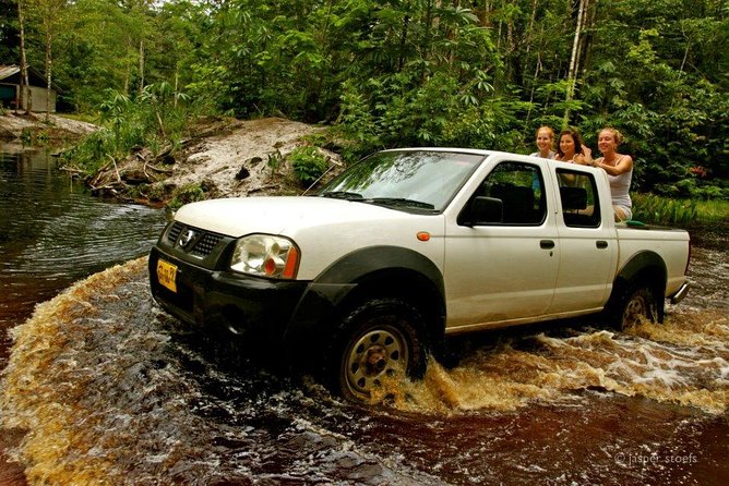 A Wildlife Safari In Suriname: What To Expect