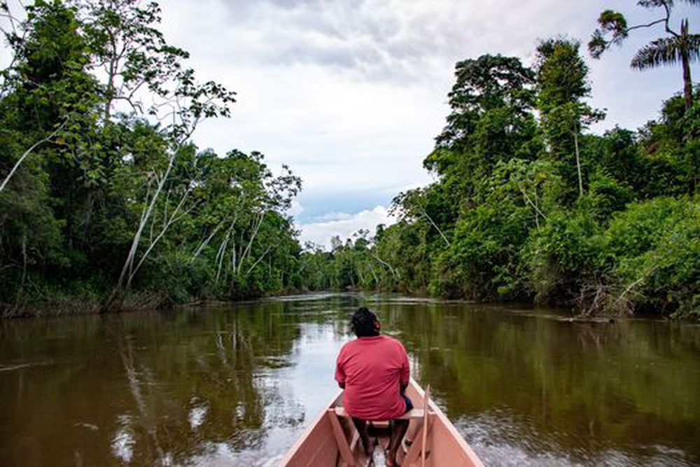 Cultural Tours In Suriname: Exploring The Local Heritage