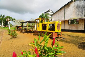 Cultural Tours In Suriname: Exploring The Local Heritage