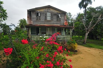 Cultural Tours In Suriname: Exploring The Local Heritage