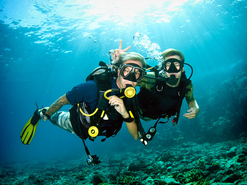 Discovering Surinames Marine Life: Best Locations For Scuba Diving And Snorkeling