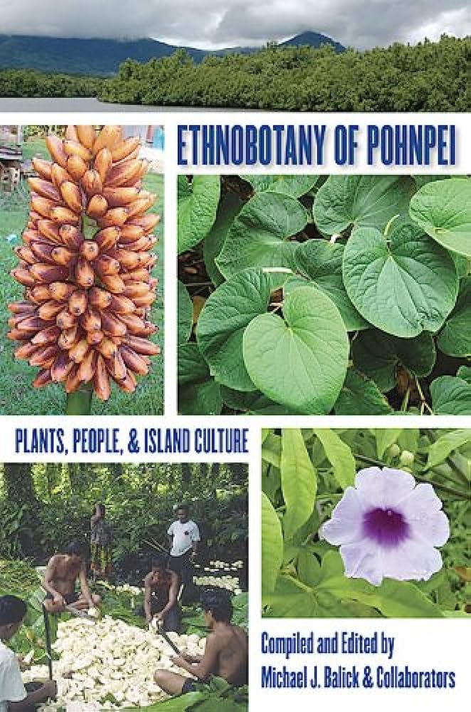 Ethnobotany In Suriname: The Interplay Of Plants And Culture