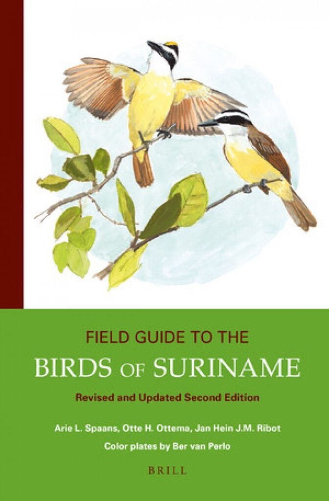 Exploring The Flora And Fauna Of Suriname: A Guide For Nature Lovers