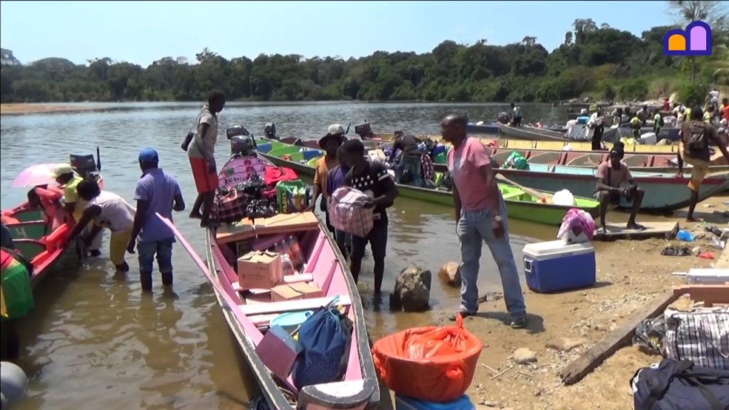 Exploring The Suriname River: Tips For Boat Trips And River Tours