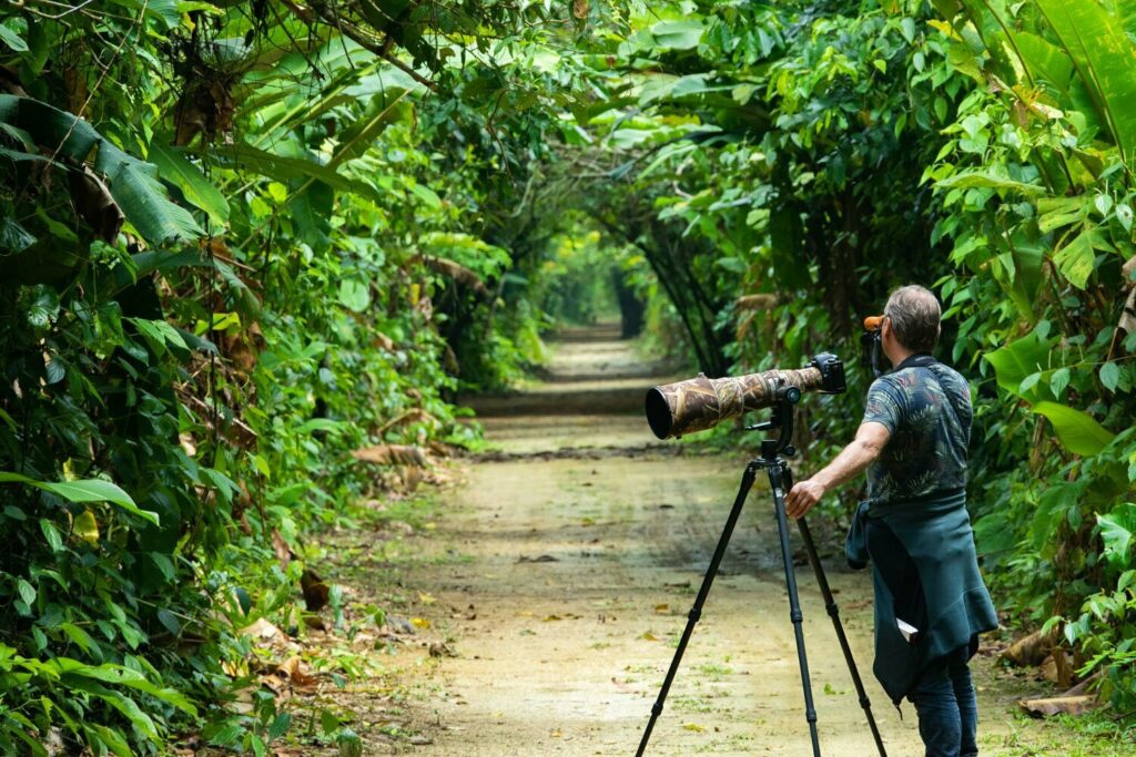 Exploring The Unique Flora And Fauna Of Suriname