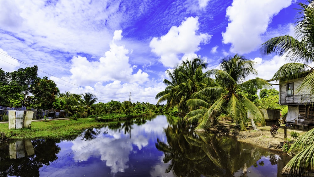 Family-friendly Destinations In Suriname: A Comprehensive Guide