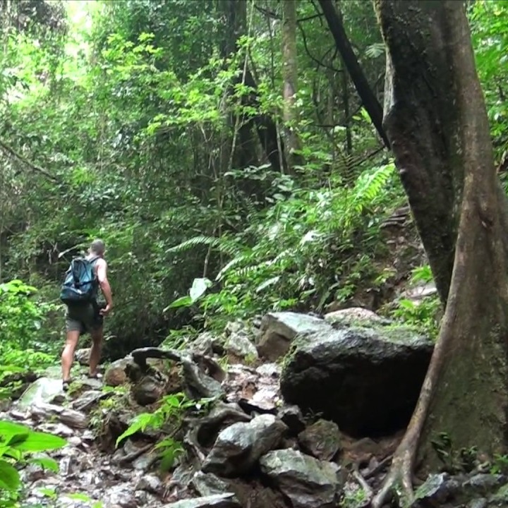 Hiking In Suriname: Best Trails And Tips