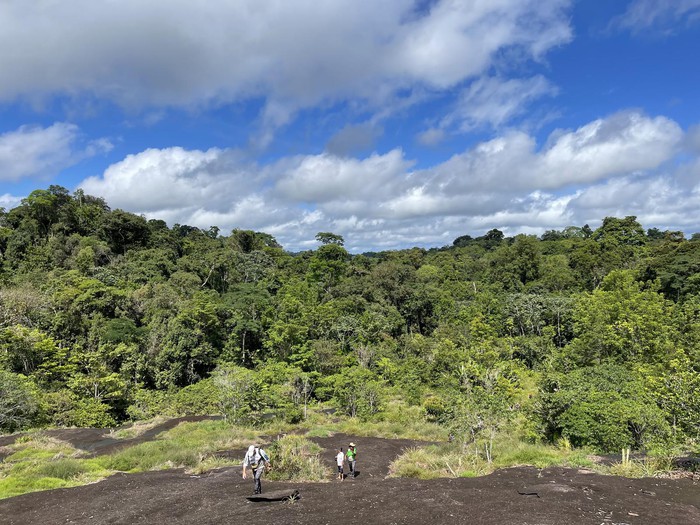 Hiking In Suriname: Best Trails And Tips