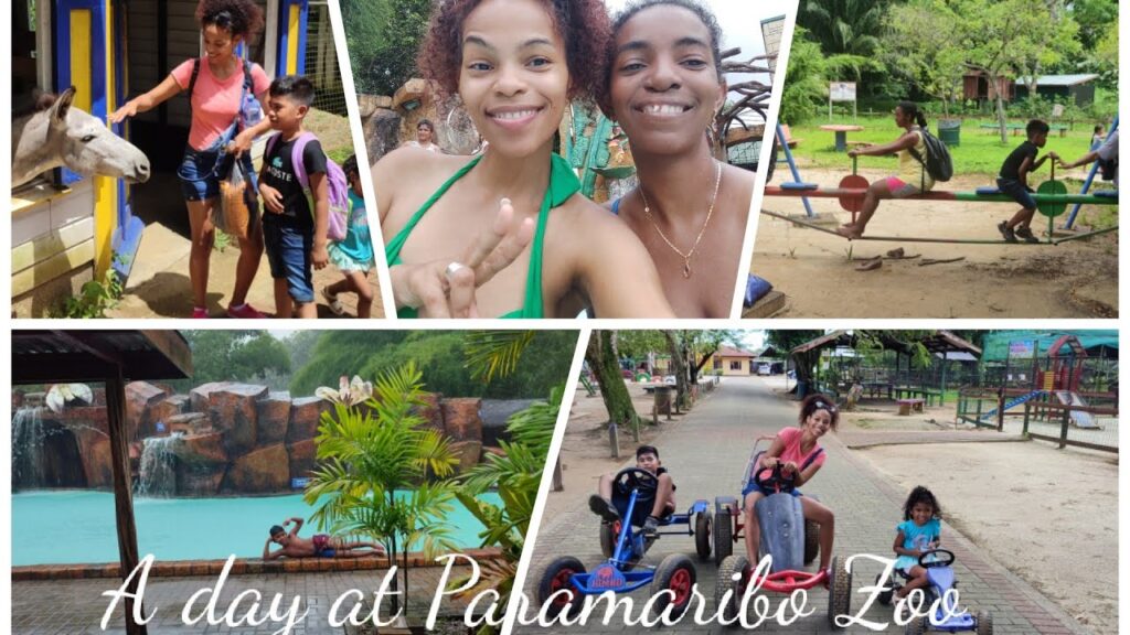 Paramaribo Zoo: A Family-friendly Attraction In Suriname