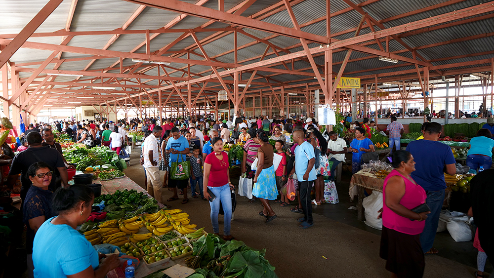 Surinames Local Markets: A Shopping Guide For Tourists