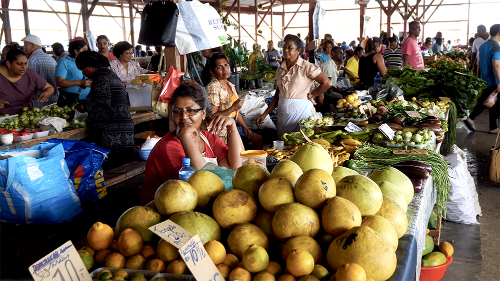 Surinames Local Markets: A Shopping Guide For Tourists