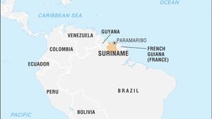 Suriname’s Relationship With The European Union: A History