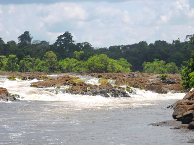 The Amazonian Beauty Of Central Suriname Nature Reserve