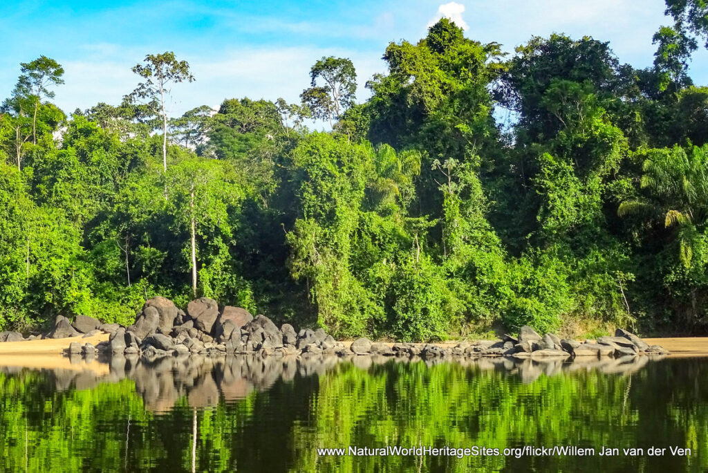 The Amazonian Beauty Of Central Suriname Nature Reserve