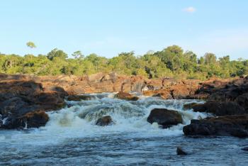 The Amazonian Beauty Of Central Suriname Nature Reserve