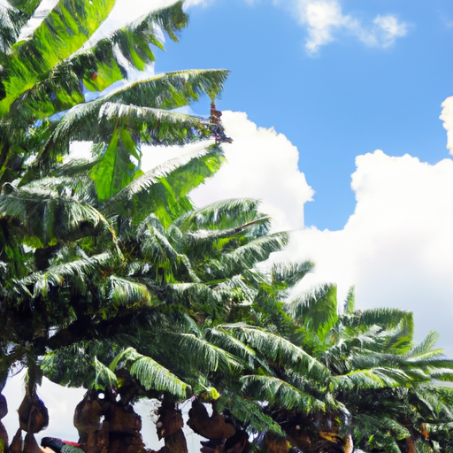 The Banana Industry In Suriname: An Economic Perspective