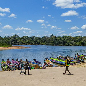 The Best Time To Visit Suriname: A Weather Guide For Tourists