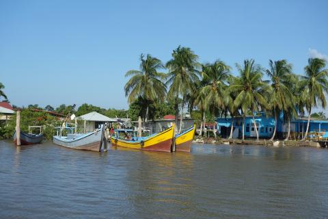 The Best Time To Visit Suriname: A Weather Guide For Tourists