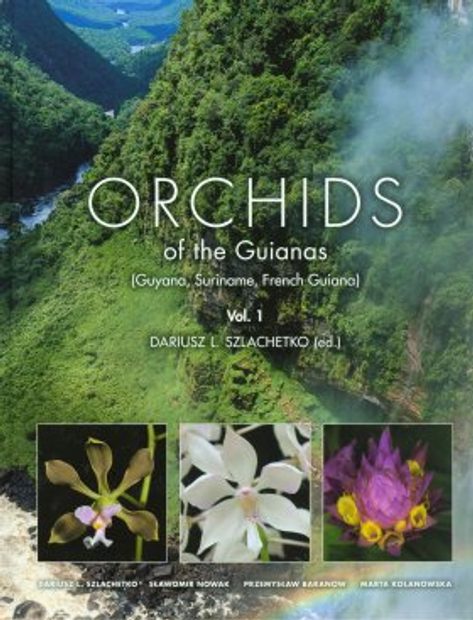 The Captivating Orchids Of Suriname: A Botanical Tour