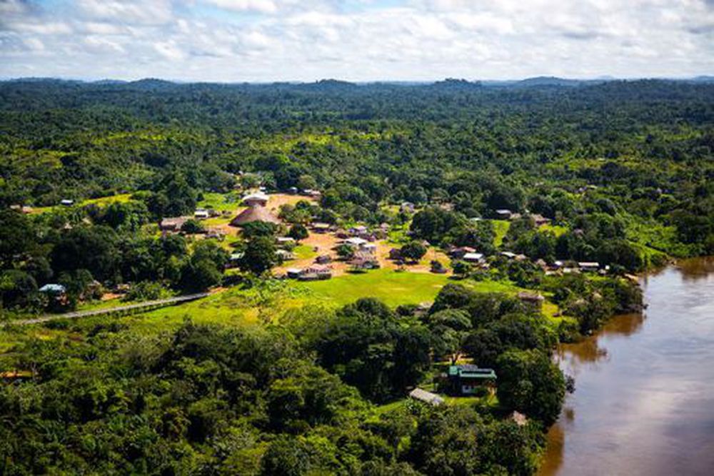 The Fascinating Rainforests Of Suriname: A Journey Through Biodiversity