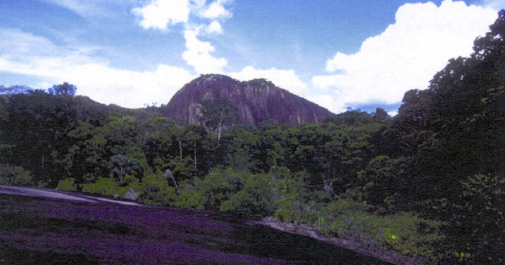 The Landscape Of Suriname: An Ecological Overview