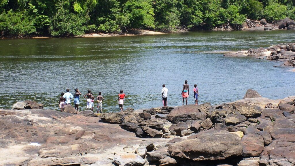 The Landscape Of Suriname: An Ecological Overview