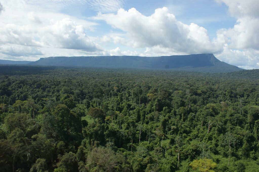 The Landscape Of Suriname: An Ecological Overview