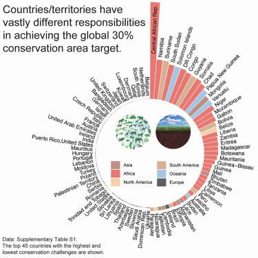 The Richness Of Suriname’s Marine Life: A Biodiversity Report