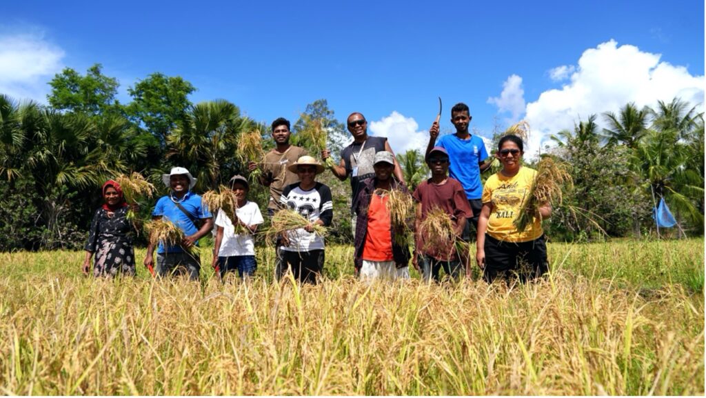 The Role Of Rice Farming In Surinames Economy