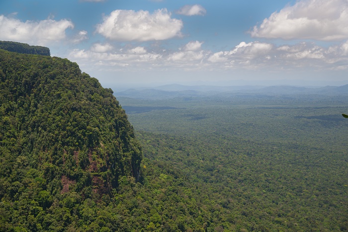 The Scenic Allure Of Tafelberg Mountain In Suriname