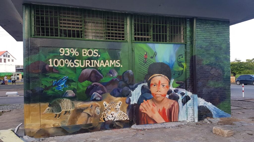 The Street Art Scene Of Suriname: A Colorful Display