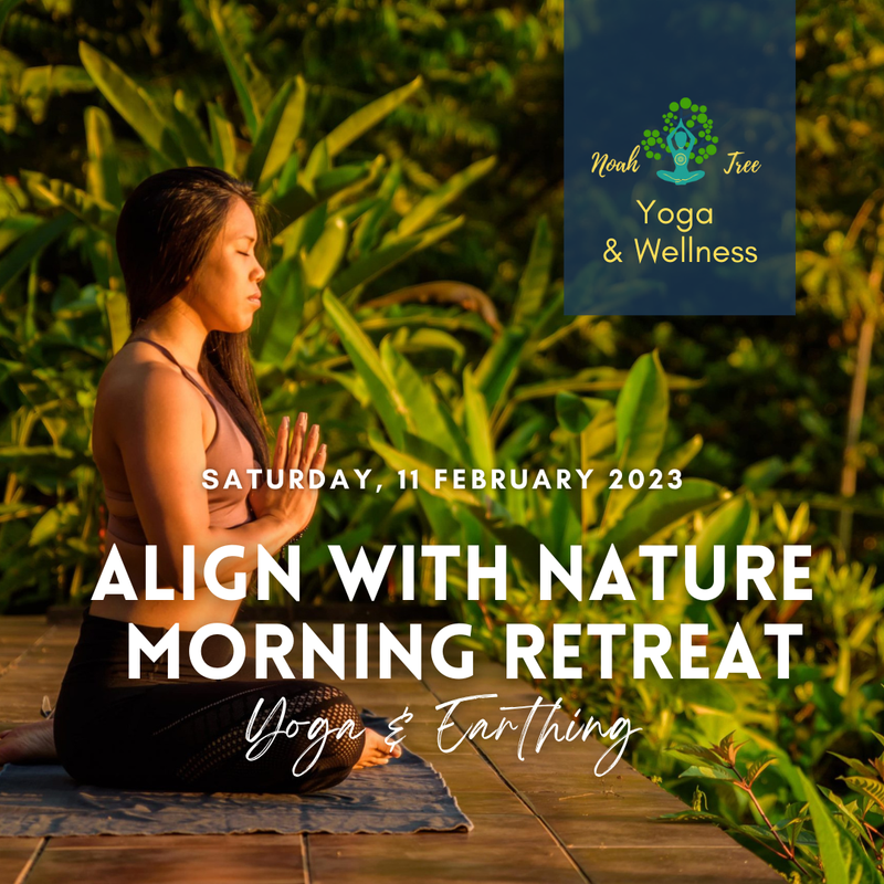 Wellness Retreats In Suriname: Best Locations For Yoga And Meditation