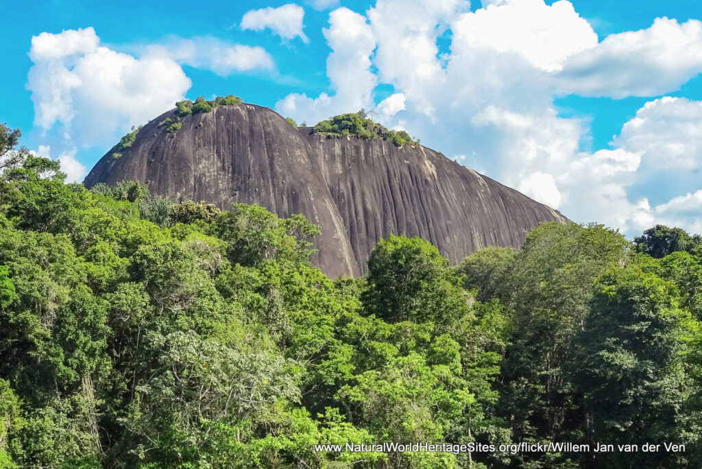 Exploring Surinames Central Nature Reserve