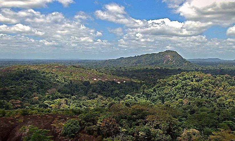 Exploring Surinames Central Nature Reserve