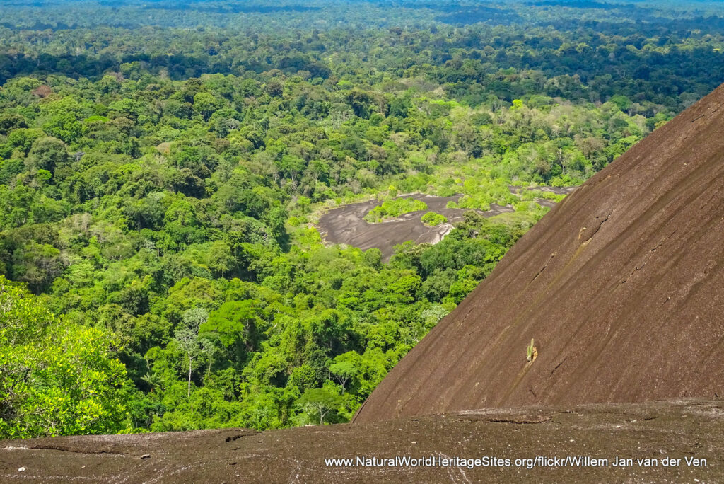 Exploring Surinames Central Nature Reserve