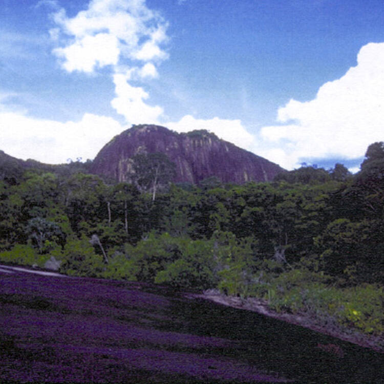 Exploring Surinames Central Nature Reserve