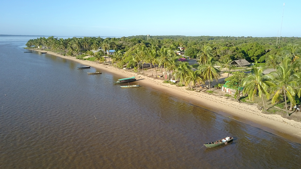 Galibi Nature Reserve: A Turtle Lover’s Paradise