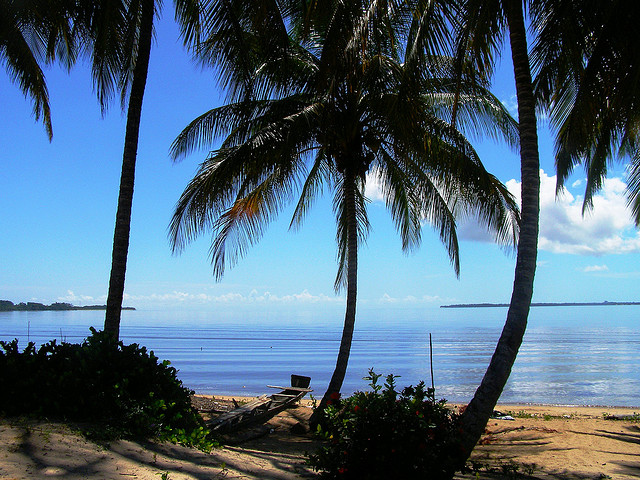 Galibi Nature Reserve: A Turtle Lover’s Paradise