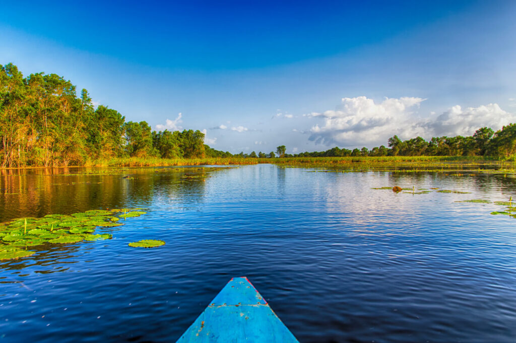 The Best Time To Visit Suriname: A Seasonal Guide