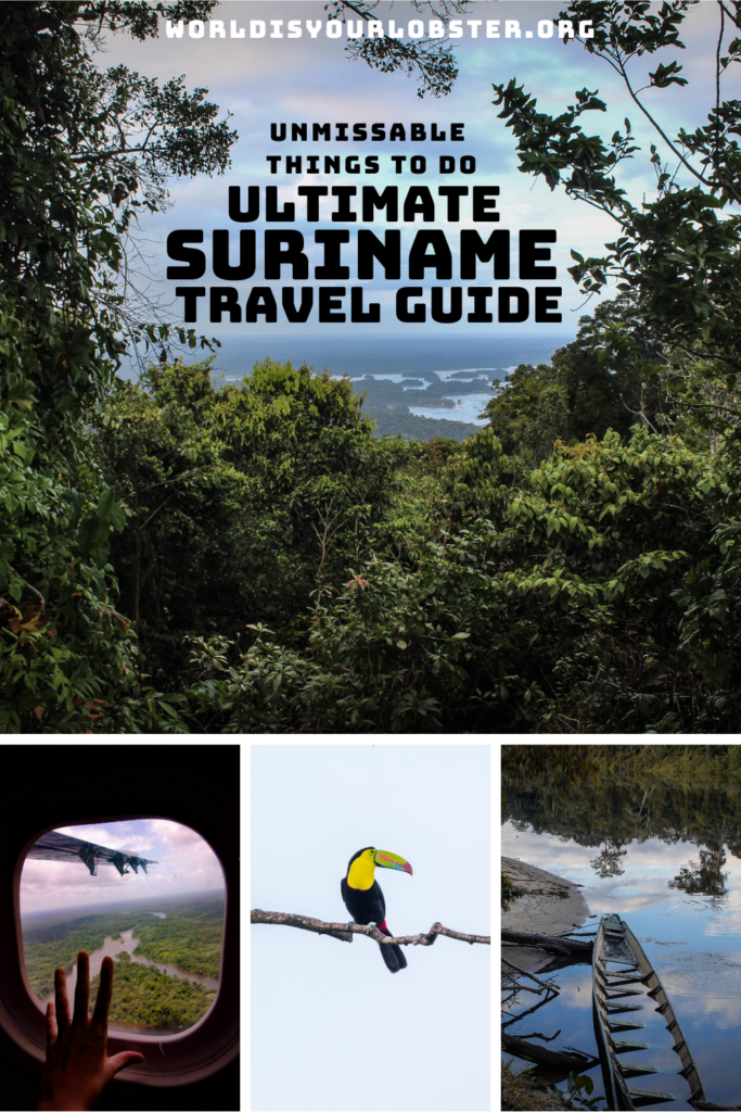 Tourist’s Guide To Surinames National Parks