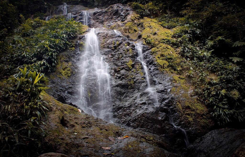 Exploring The Brownsberg Nature Park In Suriname