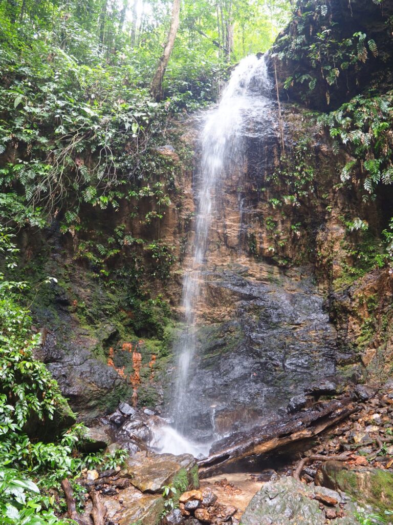 Exploring The Brownsberg Nature Park In Suriname