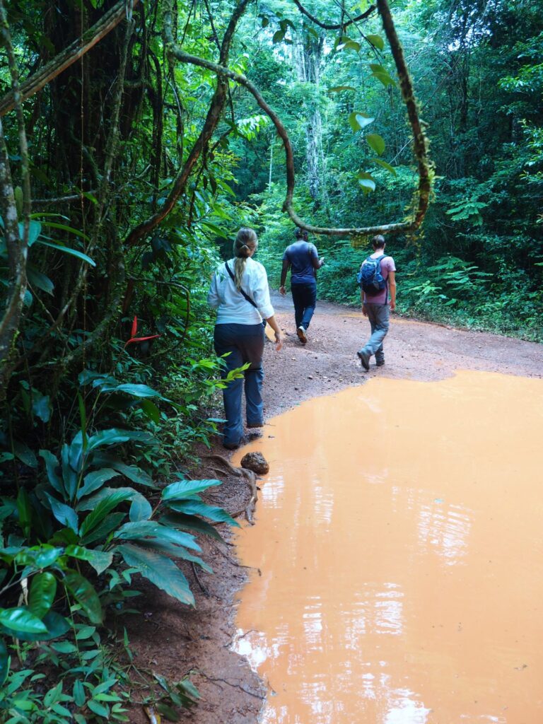 Exploring The Brownsberg Nature Park In Suriname