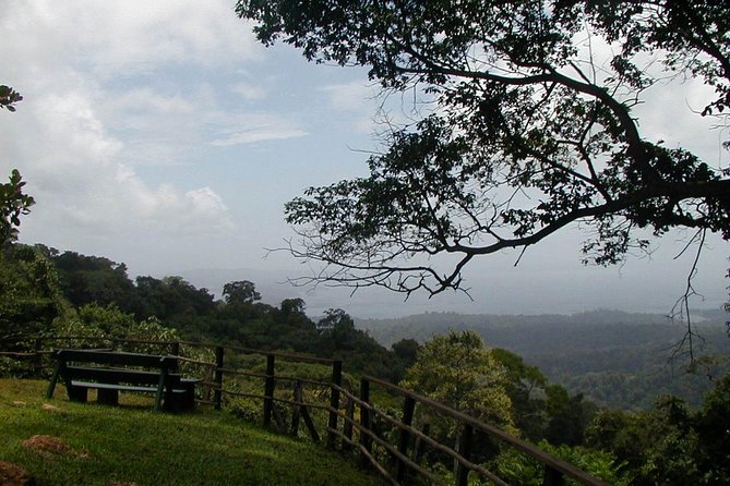 Exploring The Brownsberg Nature Park In Suriname