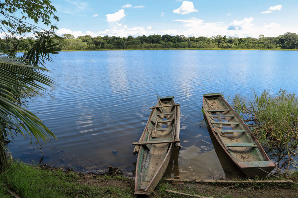 Exploring The Maroni River In Suriname