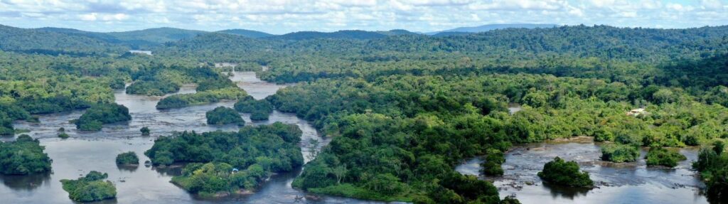 Exploring The Maroni River In Suriname