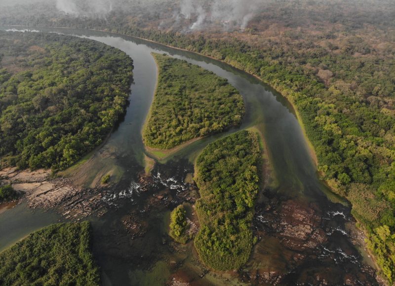 Exploring The Maroni River In Suriname