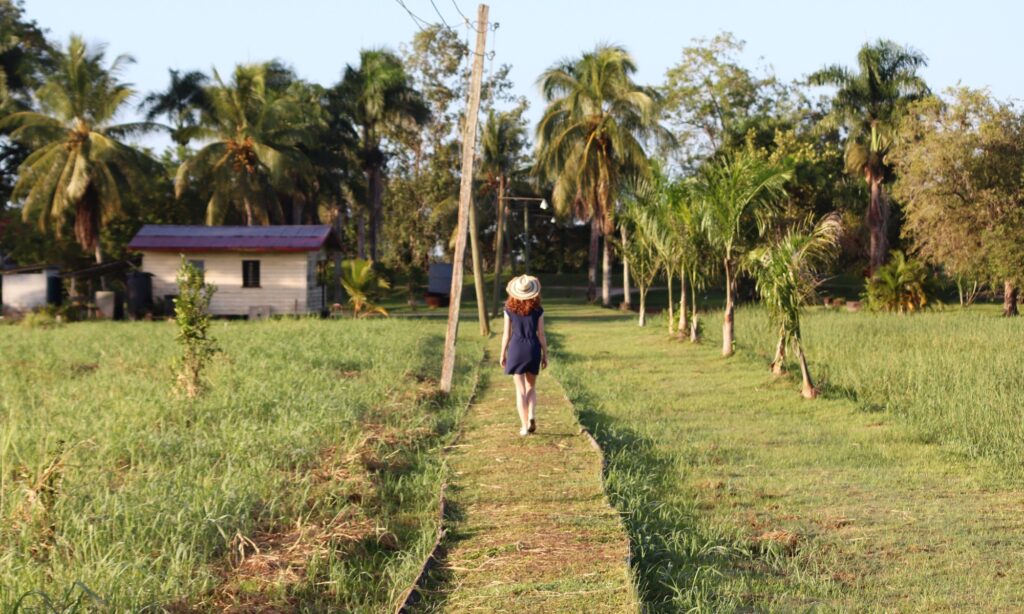 Exploring The Plantations Of Commewijne In Suriname